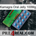 Kamagra Oral Jelly 100Mg new03